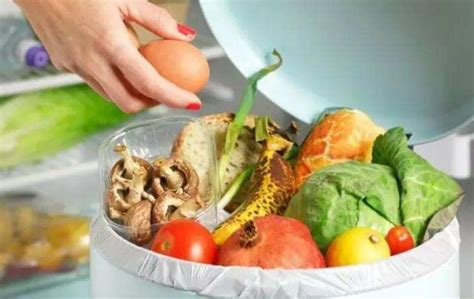 锵锵漫谈吃饭：每年餐桌上被浪费的食物，是2亿人一年的口粮_凤凰网视频_凤凰网
