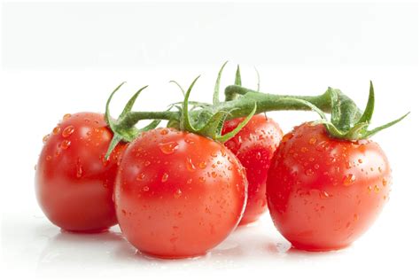 老品种西红柿种子圣女果小番茄种籽四季阳台盆栽春季高产蔬菜种孑_虎窝淘