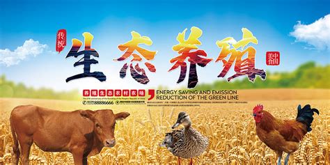 养殖场宣传海报图片_养殖场宣传海报设计素材_红动中国