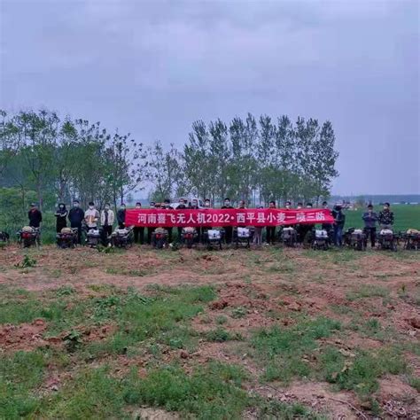 信阳市植保技术人员积极开展小麦病虫害调查 - 河南省植保新技术推广网