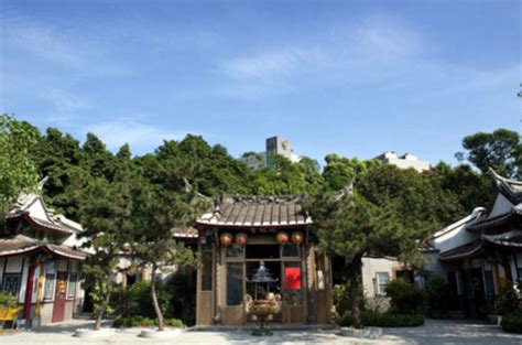 新寨咖啡香——保山市隆阳区打造“中国咖啡第一村”典型经验__财经头条