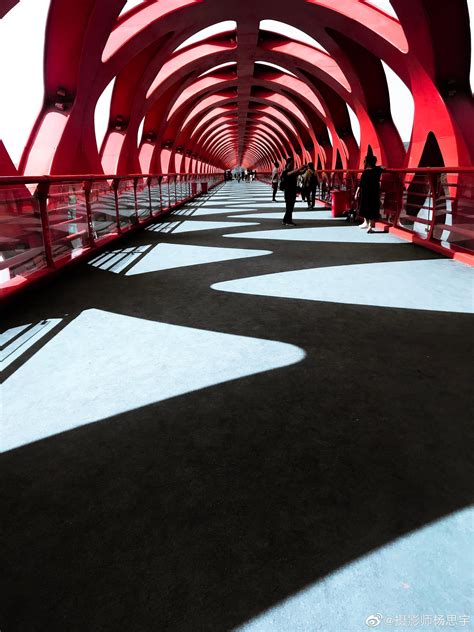 “三河五岸”环境美 天津红桥以绿色绘就高质量发展底色_手机新浪网