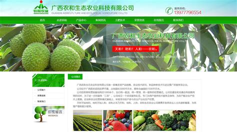 广西农和生态农业科技有限公司 - 农副产品行业网站建设【精品网站案例】-中企动力