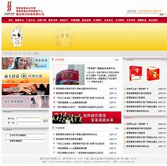 重庆网站优化策略开发工资 的图像结果