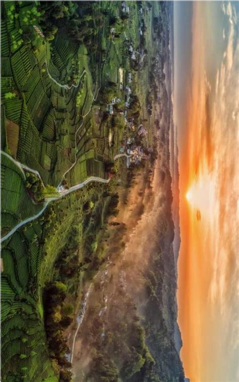 雅安名山双河乡骑龙场万亩观光茶园 图片 | 轩视界