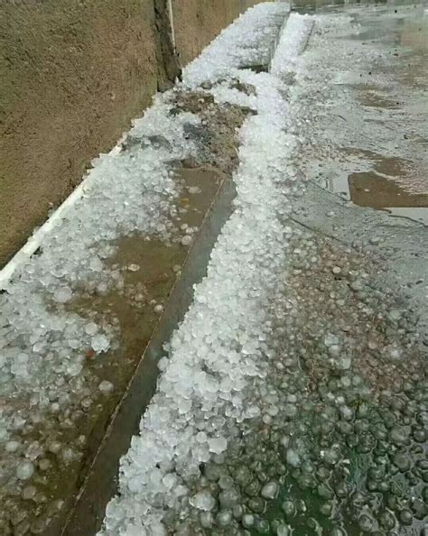 降雨、冰雹、强降雪 新疆局地出现恶劣天气|新疆|冰雹_新浪新闻