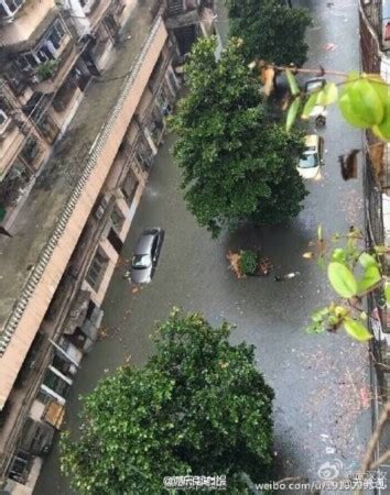 武汉遭遇今年最强暴雨 城区出现大面积内涝(图)|暴雨|内涝_新浪新闻