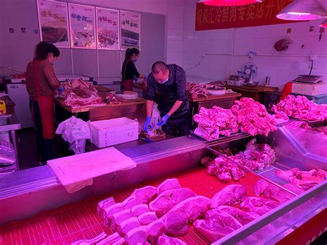 湖南猪肉价格5月上旬或将回暖 - 今日关注 - 湖南在线 - 华声在线