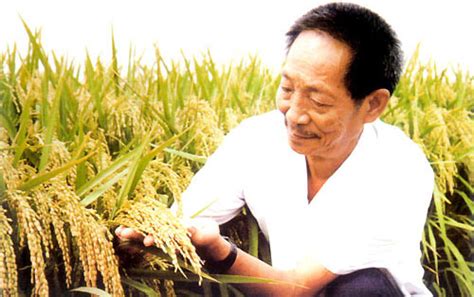 “杂交水稻之父”袁隆平获改革先锋称号 却笑称“学农是意外”|袁隆平|三湘名人|人物|湖南人在上海
