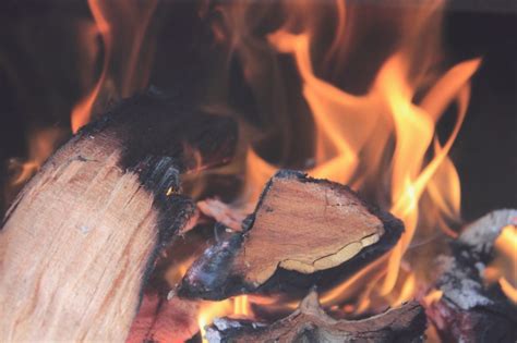寓意火和木的图片,象征火木的图,五行属木火的风景图片_大山谷图库