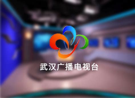 武汉电视台logo-快图网-免费PNG图片免抠PNG高清背景素材库kuaipng.com