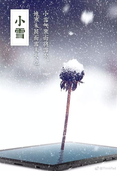 告诉全世界，我的深圳下雪了|其他|文案/策划|小海洋 - 原创作品 - 站酷 (ZCOOL)