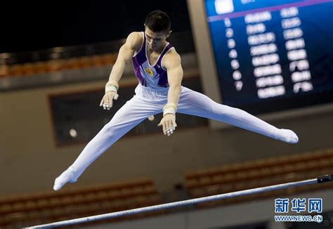 河南省体育高考体操男子单杠动作视频 _网络排行榜