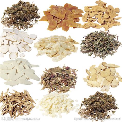中药材的名称由来-中药文化-山西药茶网-茶的味道，药的功效