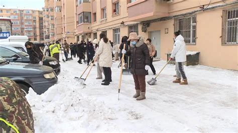 伊春市直机关党员干部开展清冰除雪集中会战