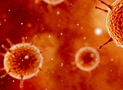 基础医学院炎症生物学研究团队积极开展新冠病毒研究工作-基础医学院