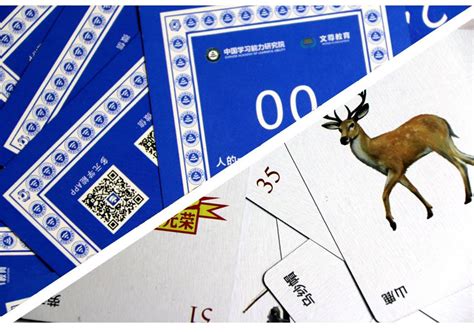 《记忆扑克》双副套盒（数字编码+数字练习）┊中国学习能力 ...