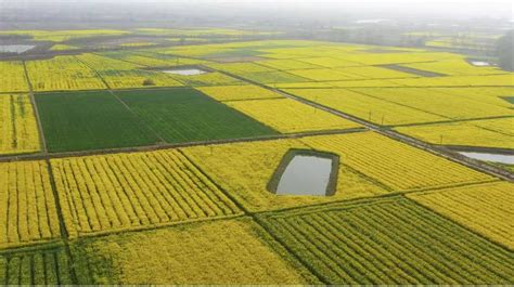 宜昌全面完成2019、2020年度高标准农田项目验收--湖北省农业农村厅