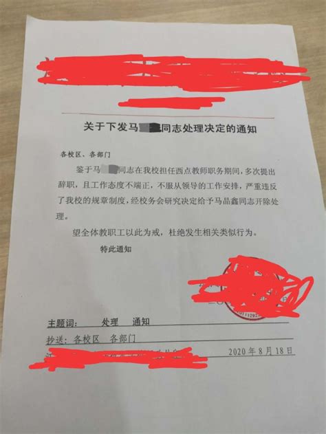 上海震旦职业学院回应教师不当言论：已启动调查程序(含视频)_手机新浪网