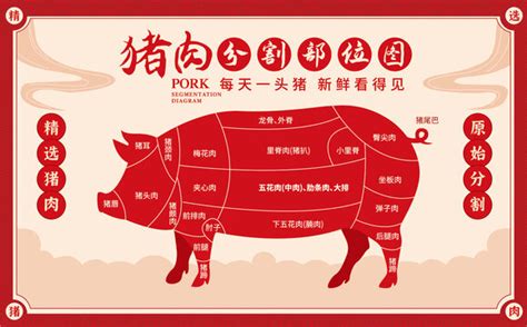 猪肉11个部位分布图讲解 - 前腿肉，里脊肉，梅花肉 我们再去买猪肉时，就挑这3个部位：猪前腿肉，里脊肉或梅花肉。价格便宜还好吃，连肉贩子都会 ...