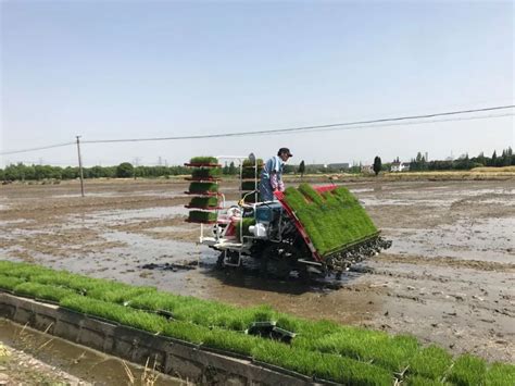 漯河：智能农机轮番登场 农业种植“机器换人”