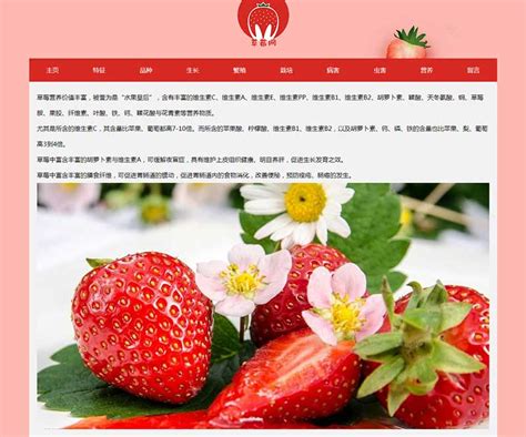 草莓主题DW大学生网页设计期末作业静态html网页模板成品下载 - STU网页作业