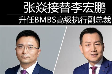 张焱接替李宏鹏 升任BMBS高级执行副总裁-新浪汽车