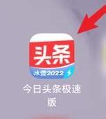 头条搜索极速版下载2024安卓最新版_手机app官方版免费安装下载_豌豆荚