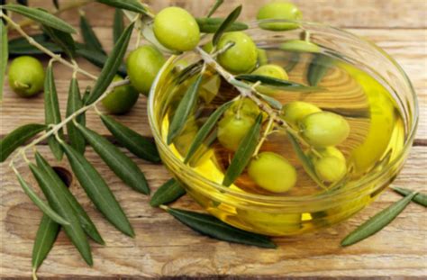 橄榄油的食用方法有哪些（橄榄油简单又常见的吃法） – 碳资讯