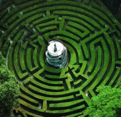 中国文艺网-草丛深处的迷宫