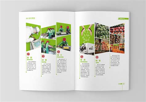 太原鸿新农产品公司画册-画册设计作品|公司-特创易·GO