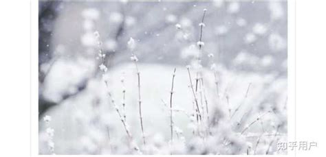 描写小雪的诗句 下雪的古诗 - 第一星座网