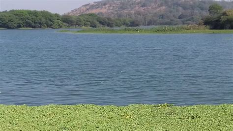 Pashan Lake (Pune) - 2020 All You Need to Know BEFORE You Go (with ...