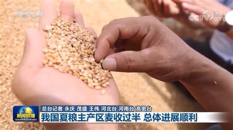 全国麦收进度过九成五 多地采取措施保障夏粮丰收 - 国内新闻 - 陕西网
