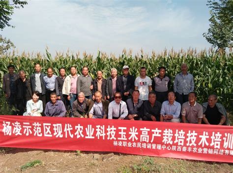 第31届中国鲜食玉米、速冻果蔬大会-绥化 - 北京中农绿桥科技有限公司|玉米种子|番茄种子|蔬菜种子