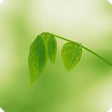 绿茶播放器下载-绿茶播放器手机版下载v1.0.9 安卓版-绿色资源网