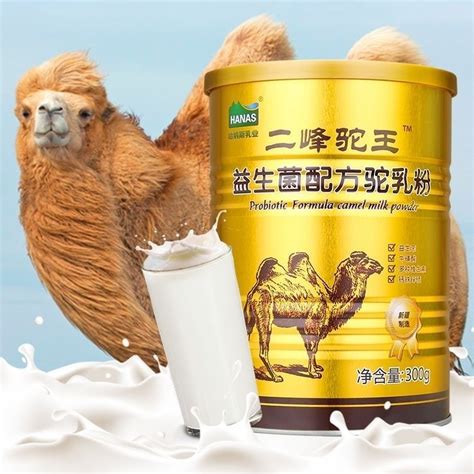骆驼奶新疆朗青驼牛奶牛奶200ml×10盒装早餐奶牛整箱批发代发厂-阿里巴巴
