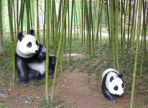 动物国宝大熊猫玻璃钢雕塑-云南雕塑-云南欧陆装饰工程有限公司
