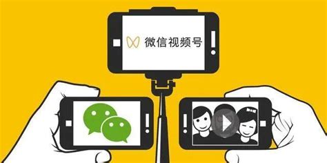 抖音+淘宝 金华电大第二期直播公益培训启动报名浙江在线金华频道