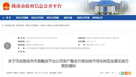 《陇南市市县融资平台公司资产整合升级加快市场化转型发展实施方案》发布