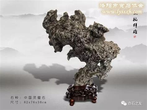 藏石，要有自己的风格 图 - 华夏奇石网 - 洛阳市赏石协会官方网站