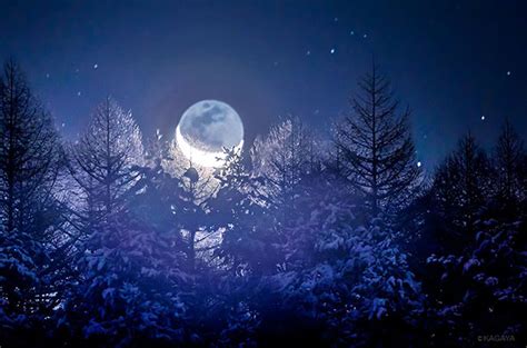 日本の冬は、こんなにも美しい 月光で輝く、雪化粧された長野県の森林 – grape [グレイプ]