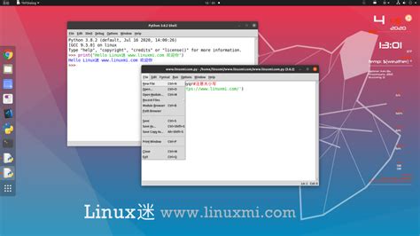 如何在Linux中安装Python IDLE - Linux迷