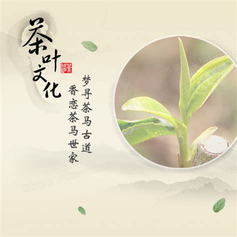 中国茶文化_word文档在线阅读与下载_文档网