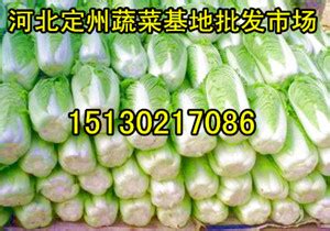 交易品种-辽宁阜新市蔬菜农产品综合批发市场