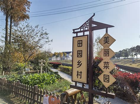 江苏苏州望亭：一座千年运河古镇的文明密码