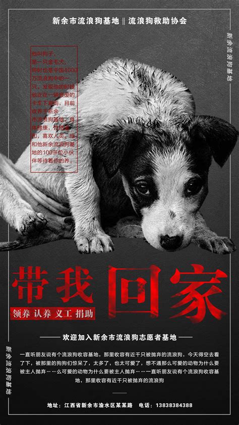 流浪狗领养宣传海报 义工 领养 公益 慈善 动物|平面|海报|石沉 - 原创作品 - 站酷 (ZCOOL)