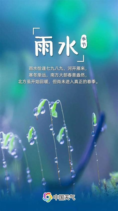 【二十四节气】雨水-河南科技大学科技园