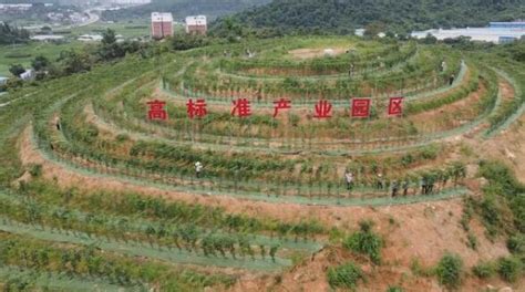 从江县启动2022年农业现代化工作百香果种植面积将达6万亩_霸特尔