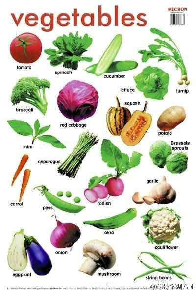 常见蔬菜名称大全英语_常见三个字的蔬菜名称大全_微信公众号文章